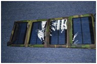 Solar Backpack